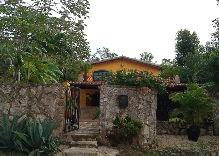 Casa Mango