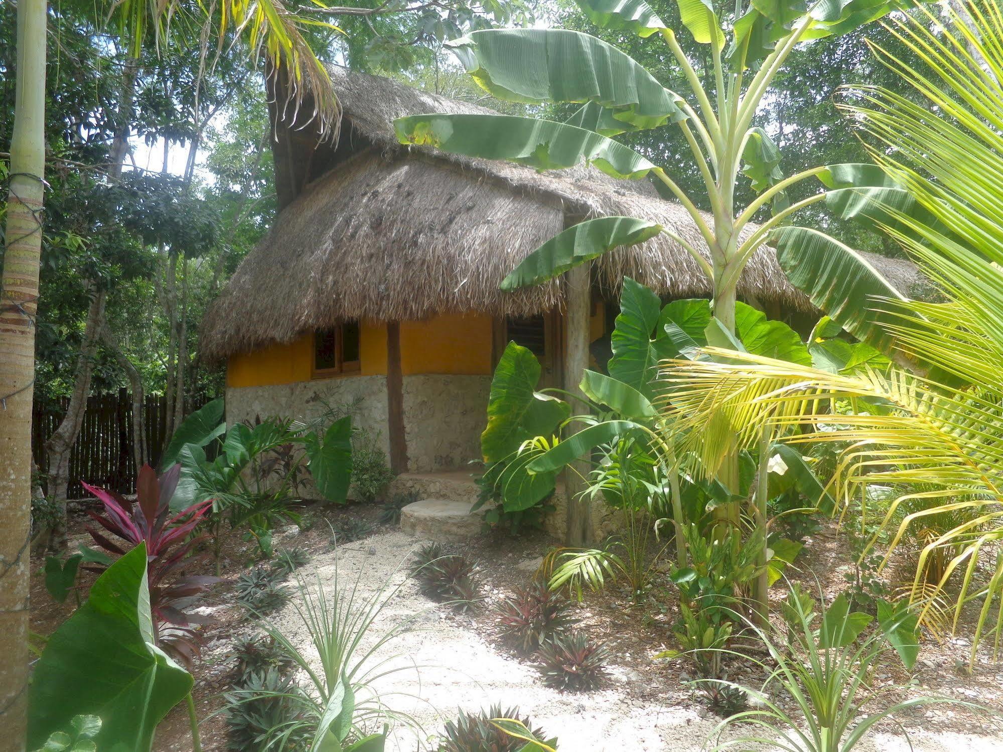 Casa Mango Couette-café 2*