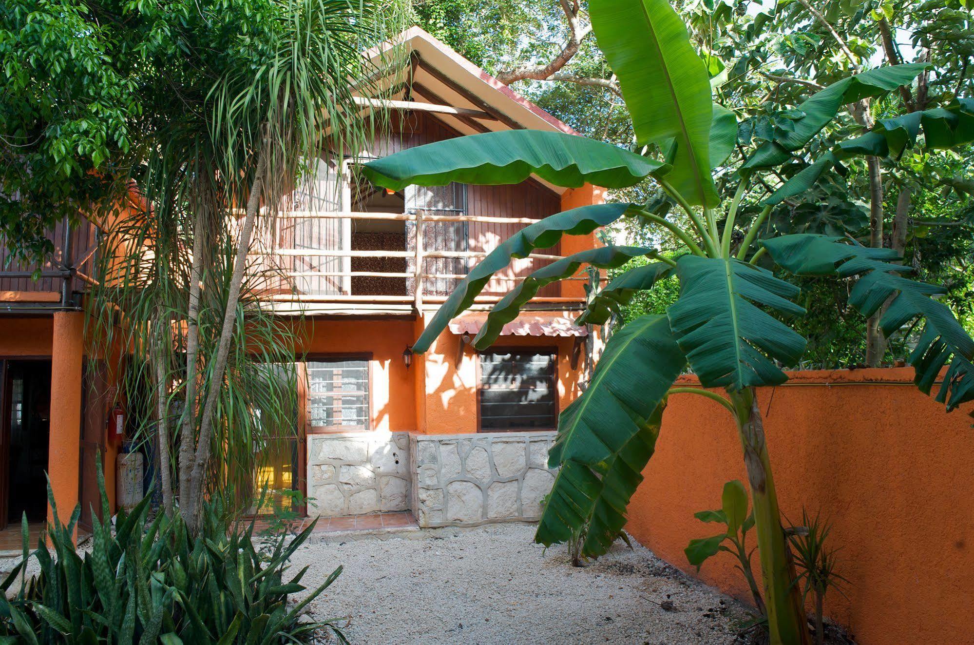 Casa Mango Couette-café Tulum