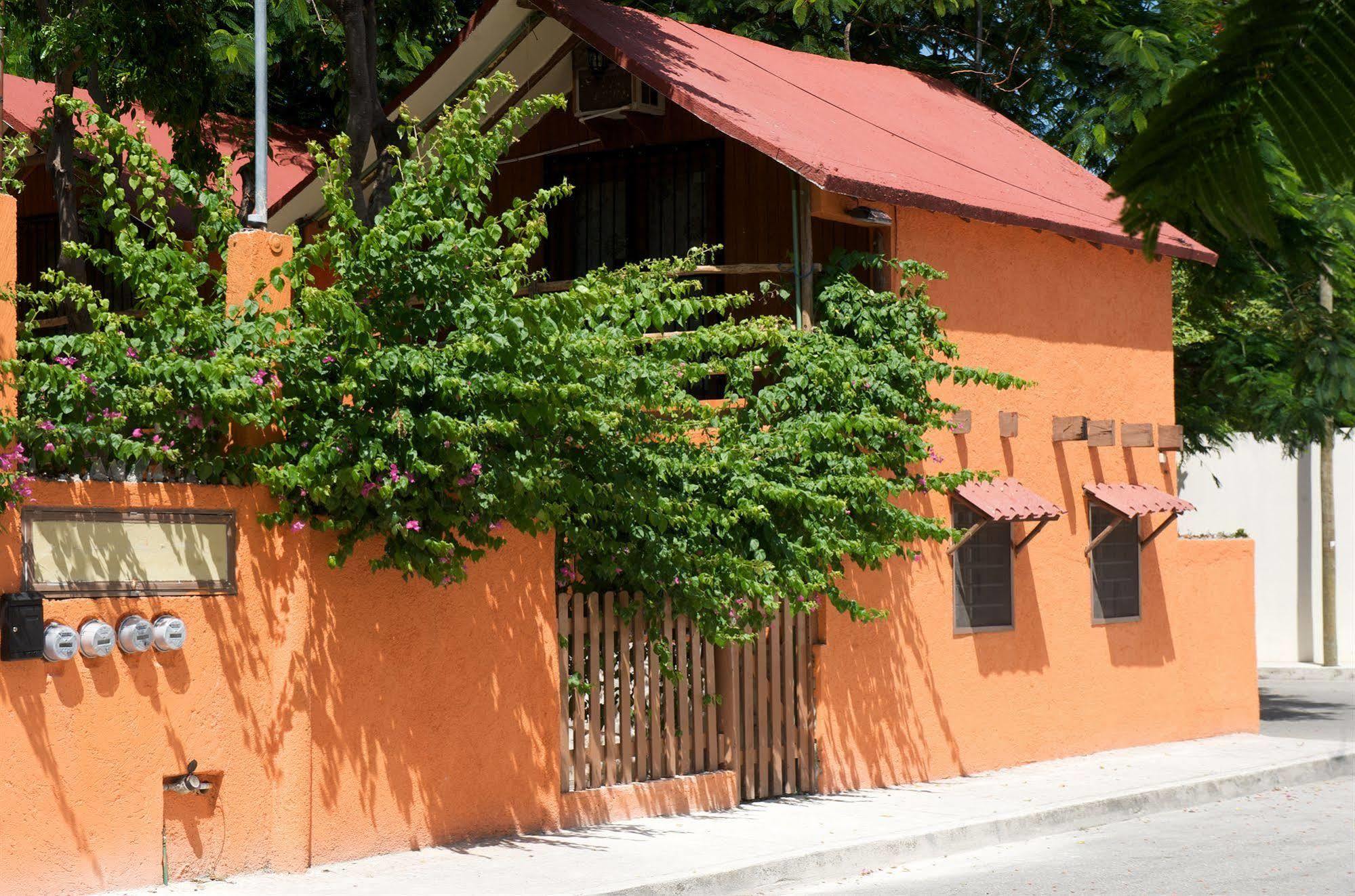Casa Mango Couette-café